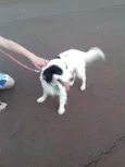 Bob 