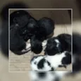 Não coloquei nome ai