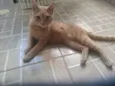 Bruce