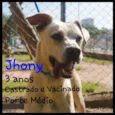 Jhony