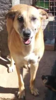 Lucy