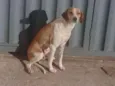 Docinha e florzinha 