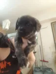 Nao tem nome ainda 