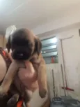 Nao tem nome ainda 