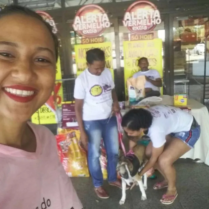 Cachorro ra a Mestiço  idade 2 a 6 meses nome Sky 