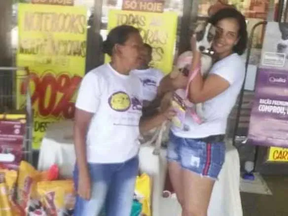 Cachorro ra a Mestiço  idade 2 a 6 meses nome Sky 