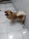 Atena