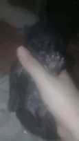 Sem