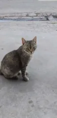 Penélope