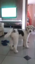 Luigi