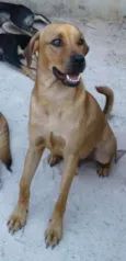 Spike