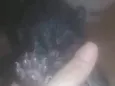 Sem