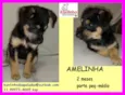 Amelinha Bebezinha