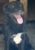 Eros