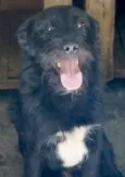 Eros