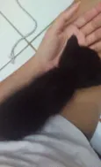 Peludinhos