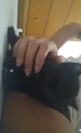 Peludinhos