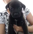 Felipe