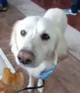 BERNARDO