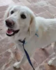 BERNARDO