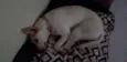 Pipoquinha