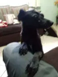 Neguinha
