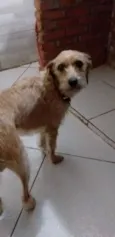 Bella