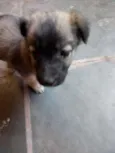 Não tem nome