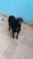 Big