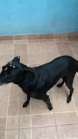 Big