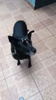 Big
