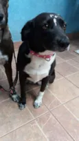 Paola