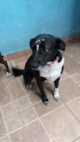 Paola