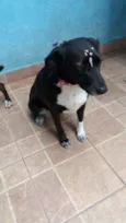 Paola