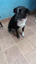 Paola
