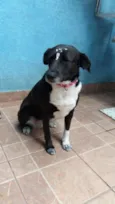 Paola