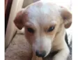 sem nome*
