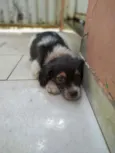 Lindão