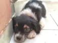 Lindão