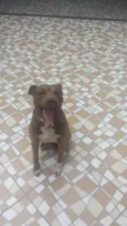 Marley
