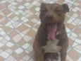 Marley