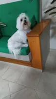 Não sei