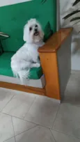 Não sei