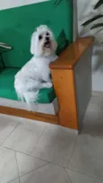 Não sei