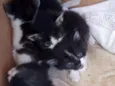 Nomes indefinidos