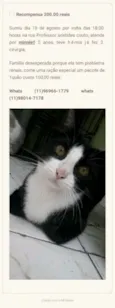 Minnie 