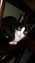 Minnie