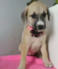 ANA CLARA