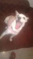 Mel