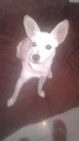 Mel